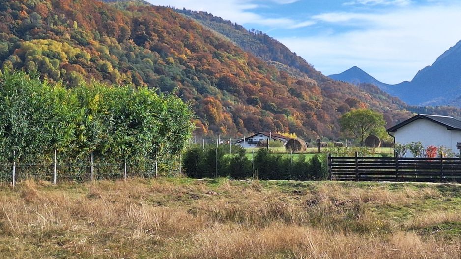 Teren 1000mp cu PUZ in Rasnov, Glajerie - Poză 2