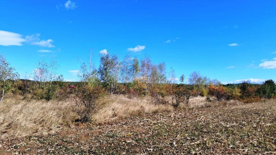 TEREN INTRAVILAN ȘI EXTRAVILAN BAIA DE FIER - Poză 7