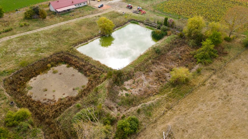 Teren intravilan cu iazuri și casă - Chișineu-Criș - Poză 28