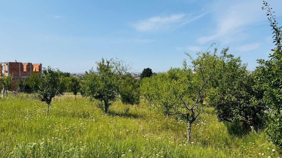 Teren intravilan cu toate utilitatile in apropiere de GARA - Poză 3