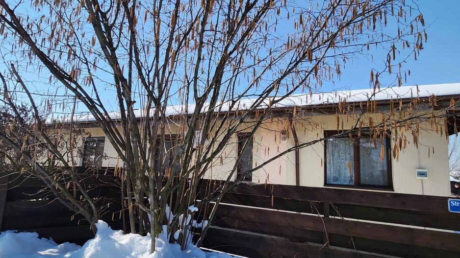 Vila pe parter in complex Good Afternoon Balotesti - Poză 10