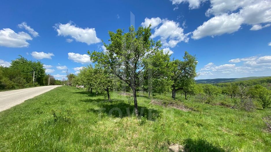 Teren premium 1000 mp-Sibiel - Poză 1