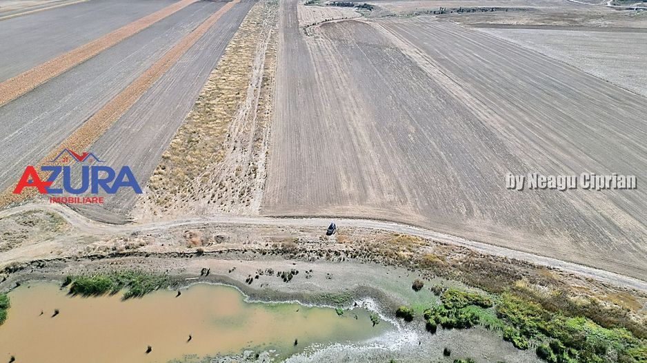 Teren agricol, 5HA, comasat, drum acces, Cateasca - Poză 4