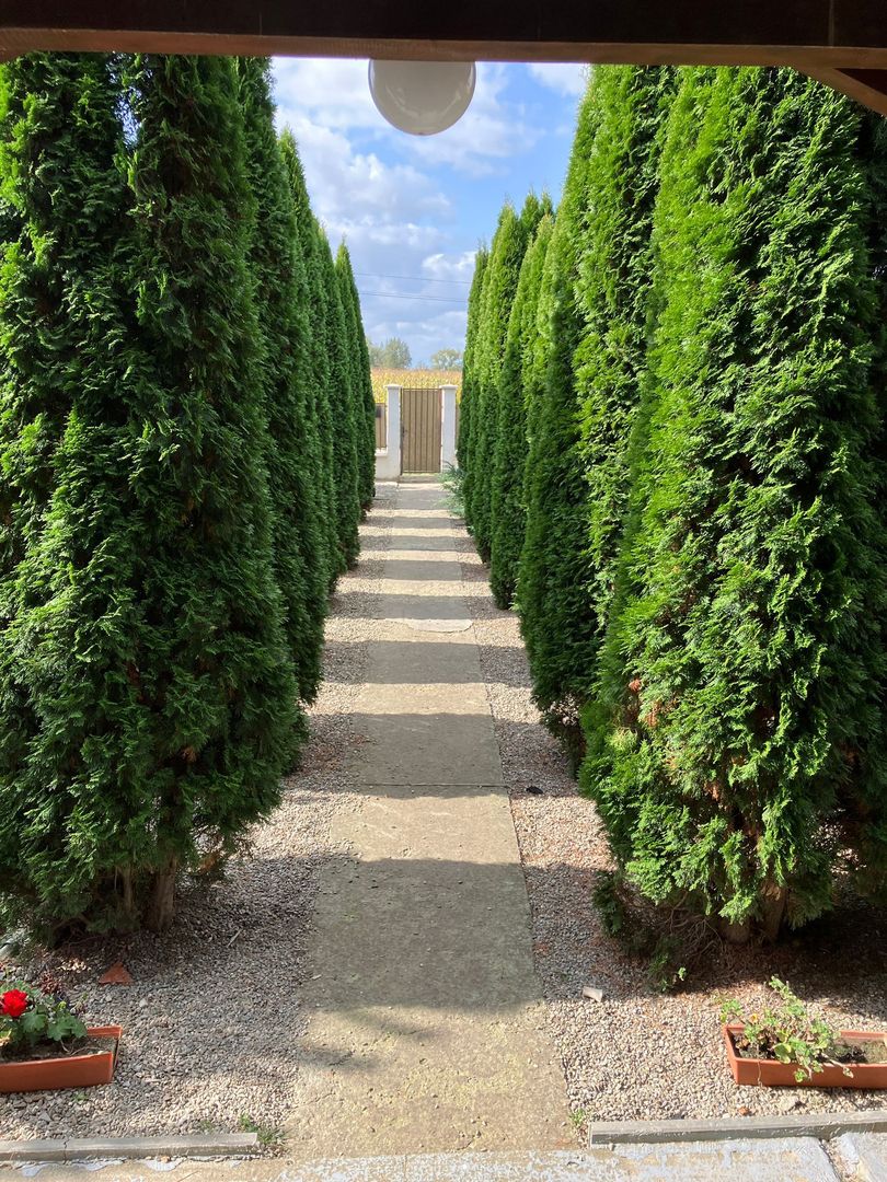 Casa in zona Lunca Marcusului - Poză 2