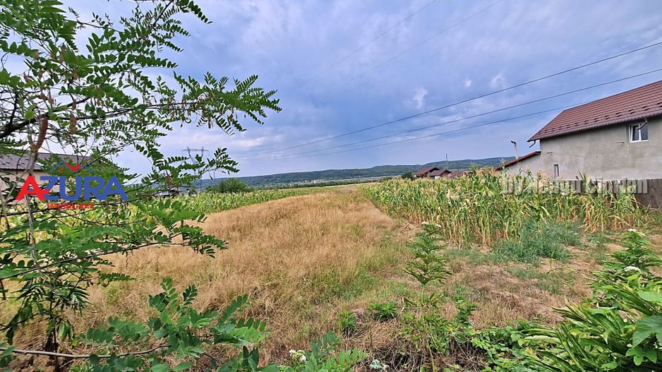 AZURA Imobiliare - Teren Budeasa Galasesti Calotesti - Poză 9