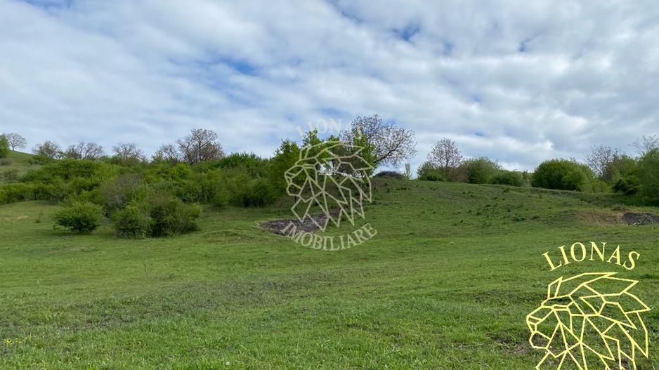 Teren Extravilan - Ghinda - 3.5000mp-Parcelabil - Poză 2