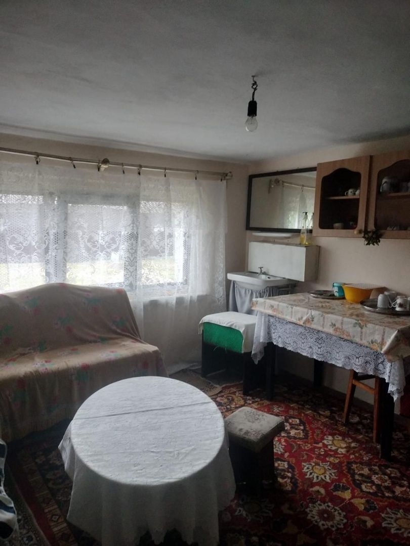 🏡 CASĂ + TEREN INTRAVILAN 4.971 MP – URECHEȘTI, VRANCEA - Poză 9