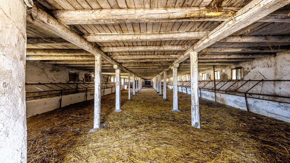 Fermă Mândruloc 2,5 ha - Poză 5