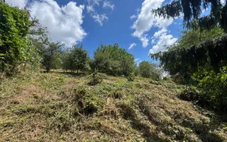 Casa cu 3 camere, 2300mp teren, zona SubPadure - Poză 13
