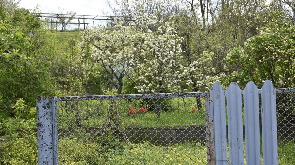 CASĂ TRADIȚIONALĂ CU GRĂDINĂ GENEROASĂ ȘI VIE – ISACCEA, JUD. TULCEA - Poză 3