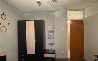 2 Camere Campia Libertatii Pet friendly - Poză 7