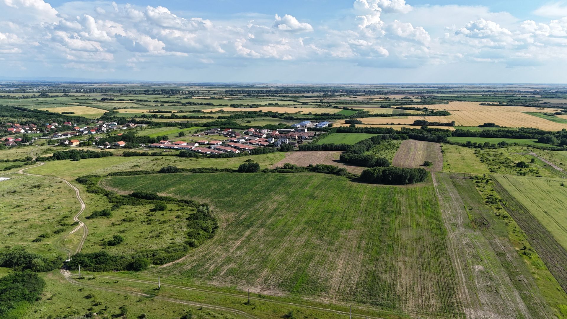 Terenuri zona  MOSNITA NOUA -  ALBINA . - Poză 4