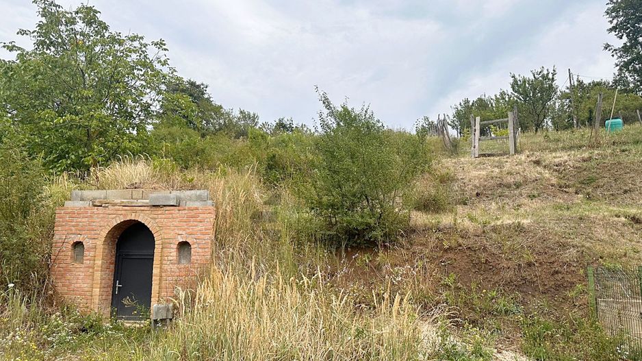 Teren intravilan de vanzare cu o crama zona Dealuri Oradea - Poză 5