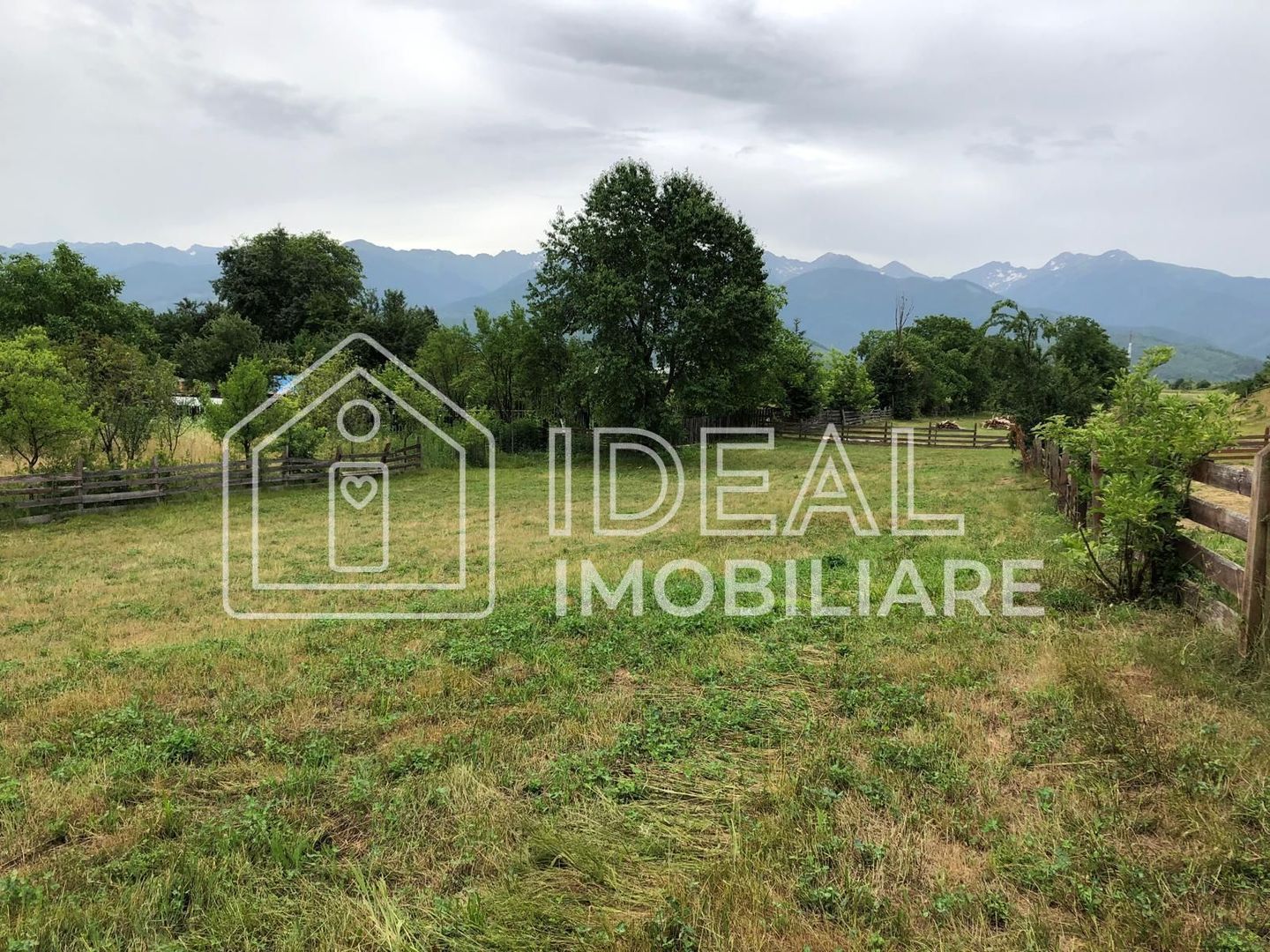 Teren intravilan | 1829mp | Cârțișoara - Poză 5