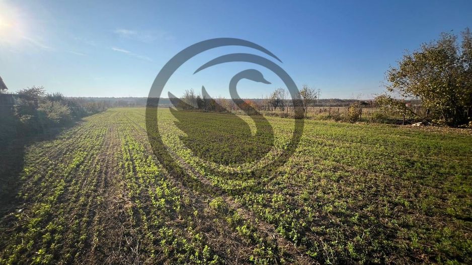 Teren intravilan de vanzare | 12.650 mp | Ghirdoveni, | COMISION 0% - Poză 3