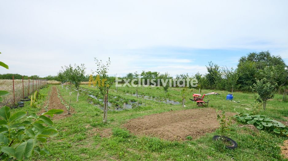 Casă cu teren generos – Vedea-Arges - Poză 31