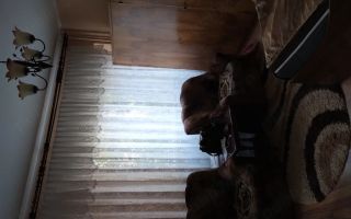 De inchiriat apartament 1 camera  str Siderurgiștilor, et.2, 1100 lei - Poză 1