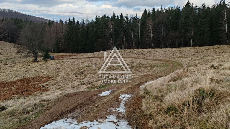 19.5 Hectare în Zona Turistică Montană – Bulz, Bihor - Poză 3