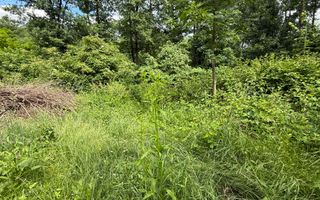 Teren intravilan 683 mp deschidere la strada asfaltata ! - Poză 19