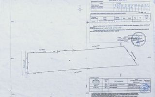 Teren de vânzare – 4.000 mp | Costești, Județul Vâlcea - Poză 5