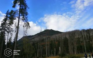 Padure de stejar, Ususau, suprafata 29.800 mp, comision 0% - Poză 1