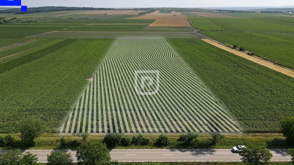 Teren - Orășeni Deal, Curtești | BOTOȘANI | 10.000mp - Poză 8