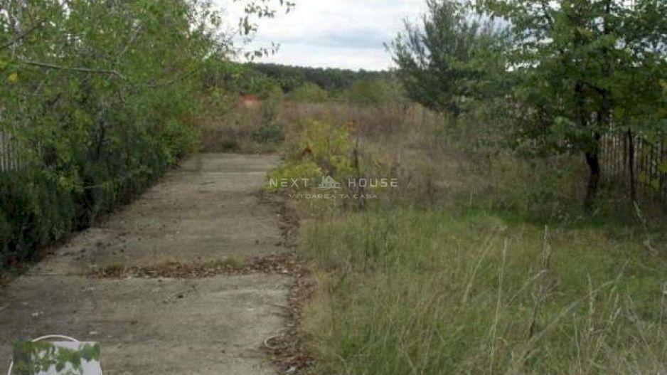 Casa Vacanta Izvorani - Poză 5