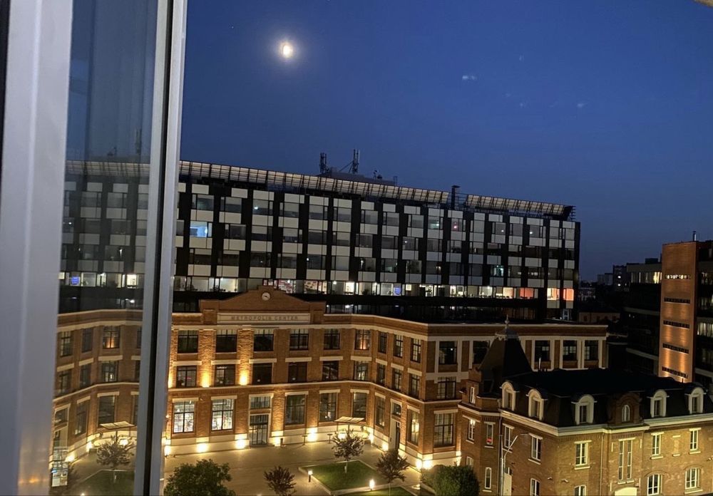 Dorobanti Iancu de Henedoara - Poză 6