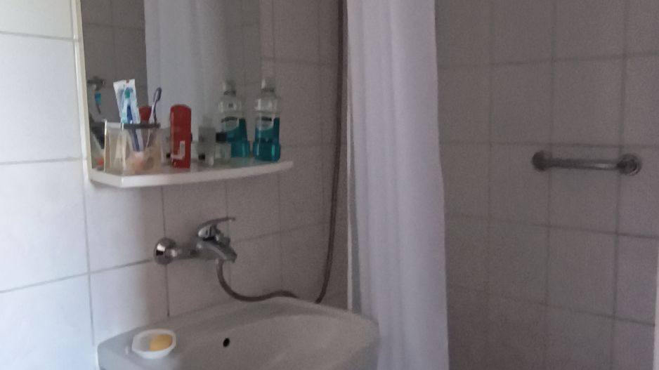 Domenii - Arcul de Triumf - Agronomie - Poză 3