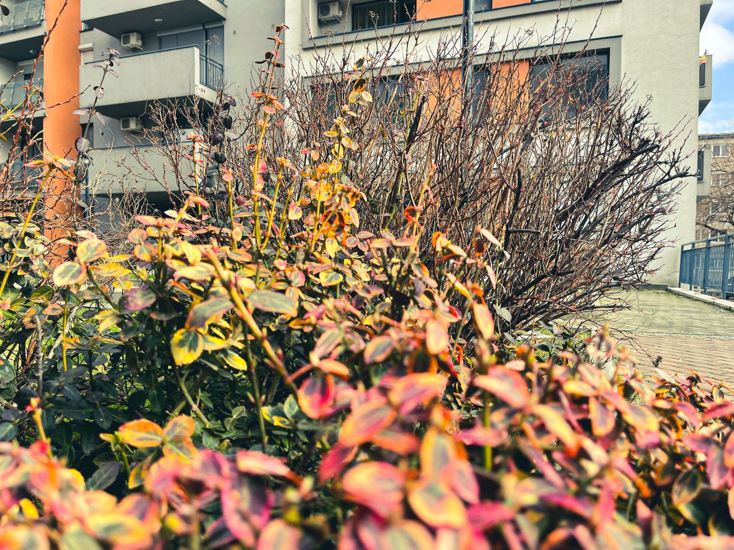 REZERVAT - IRIS Sagului | 41.7 mp - decomandat | Loc parcare privat | Comision 0 - Poză 36