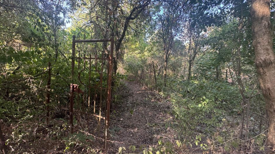 Teren intravilan 1511 mp strada Podgoria - Poză 3