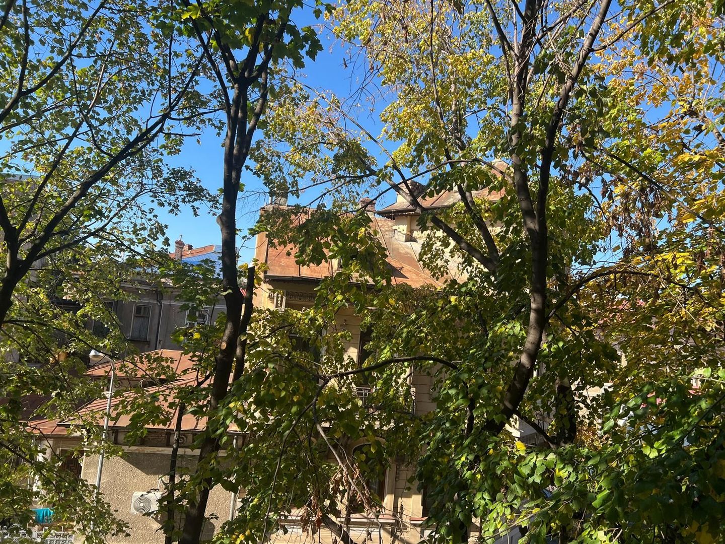 Apartament superb, doua camere, Mosilor - Poză 13