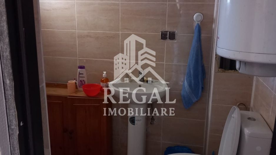 Două case de vânzare – Cerisor – teren generos 6996 mp - Poză 5