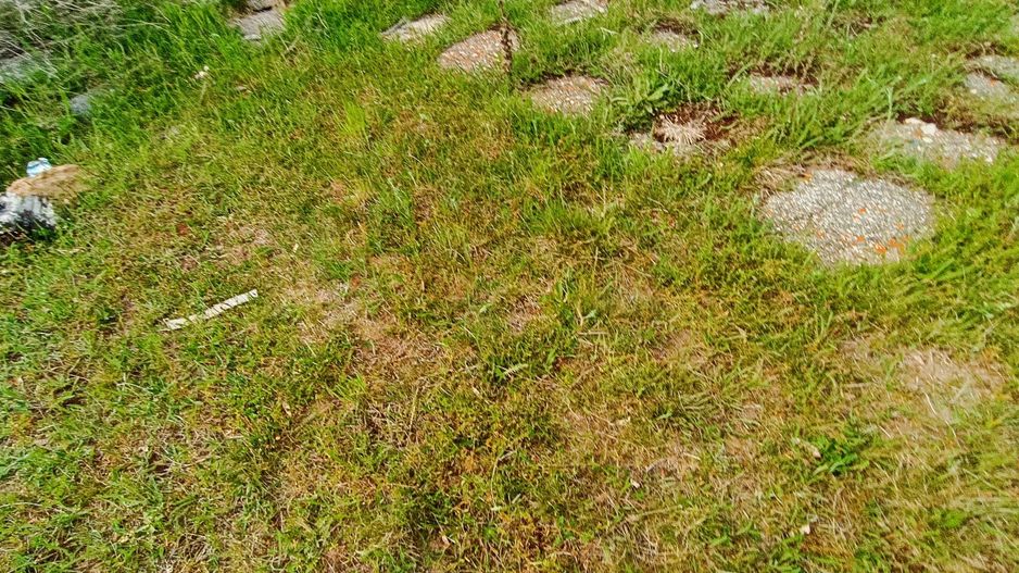 Teren in localitatea Reci,langa lacuri - Poză 11