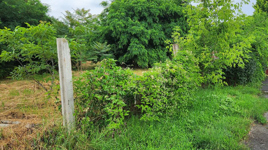 Teren intravilan 926 mp-semicentral - Poză 3