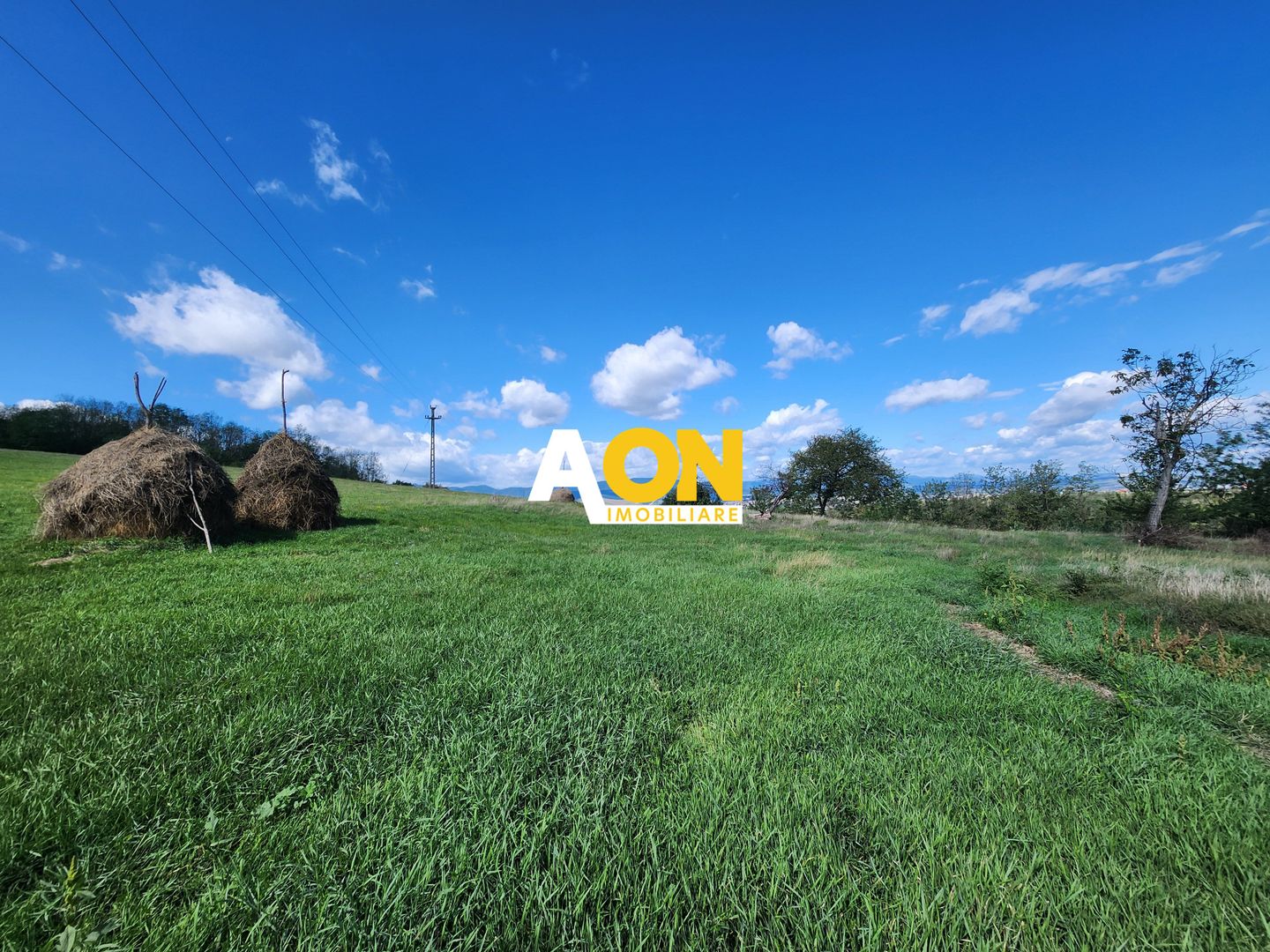 De vanzare 2965 mp teren intravilan, toate utilitatile, Oarda de Sus - Poză 7