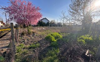 Teren Intravilan Becicherecu Mic 750mp,F.S 19ml,Utilitati,Asfalt - Poză 2