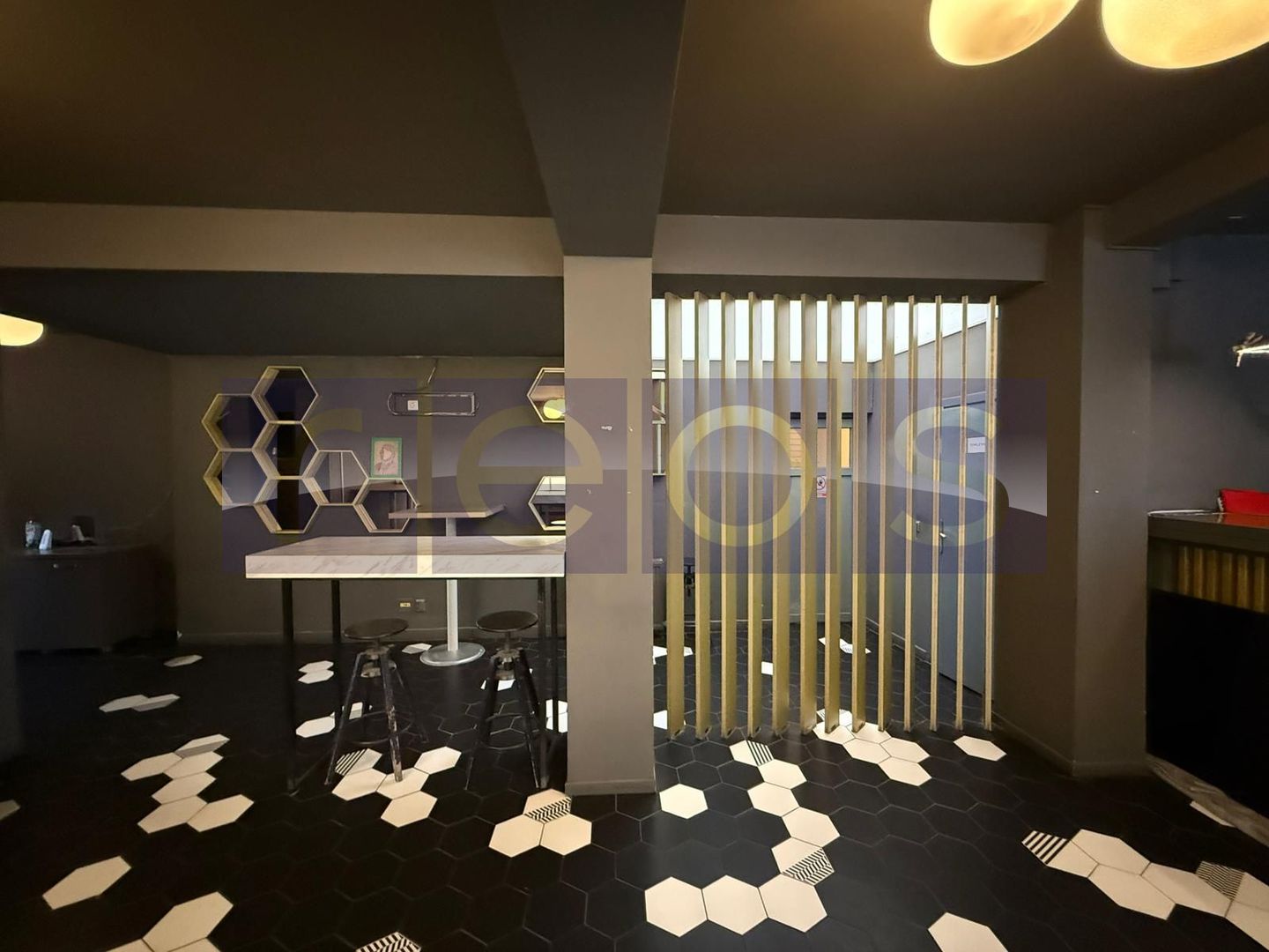 OPORTUNITATE VANZARE - INCHIRIERE VILA RESTAURANT | GRADINA ICOANEI | - Poză 23