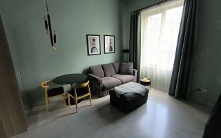 Garsoniera in vila I Parter inalt I Centrala proprieI Sfintii Voievozi - Poză 2