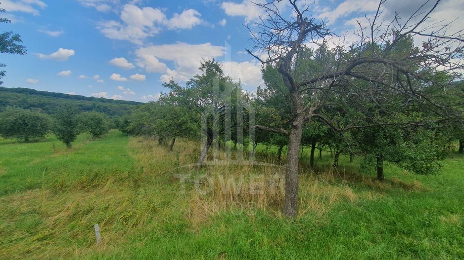 Teren de vanzare in Sibiel . - Poză 3