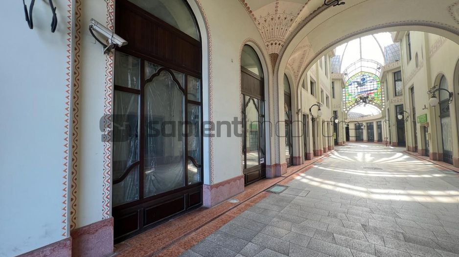 Sapient | Spațiu comercial _ Pasajul Vulturul Negru - Poză 2