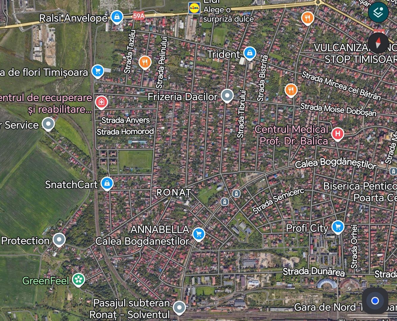 Casa cu teren 403 mp RONAT - Poză 5