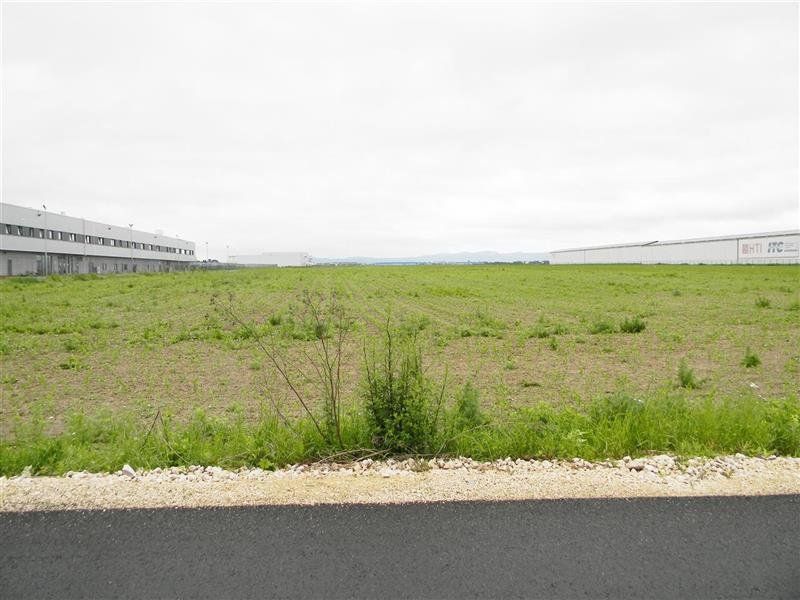 Teren pentru hale-Ghimbav-Joysonquin - Poză 5