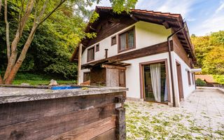 Domeniu în satul Căprioara - Poză 2