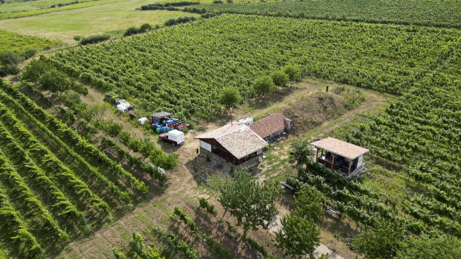 Vie Tradițională „Halta Lupilor” - Poză 23