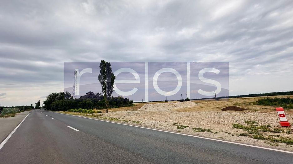 TEREN DE VANZARE CREVEDIA-COCANI 10.000 MP DESCHIDERE 70 - Poză 4