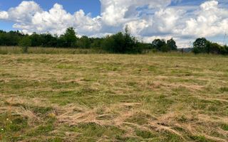 DOUĂ CORPURI DE CASĂ TEREN INTRAVILAN 6997 MP BUGHEA DE SUS ARGEȘ - Poză 11
