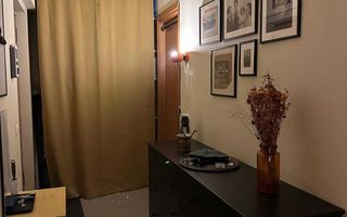 Studio 48 mp renovat, Greenfield Topaz, Sector 1, lângă pădure - Poză 5
