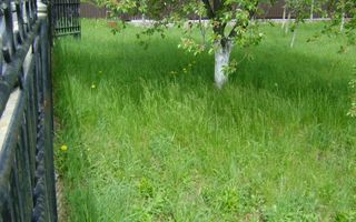 Teren de vanzare in Cornu 1183 mp - Poză 5