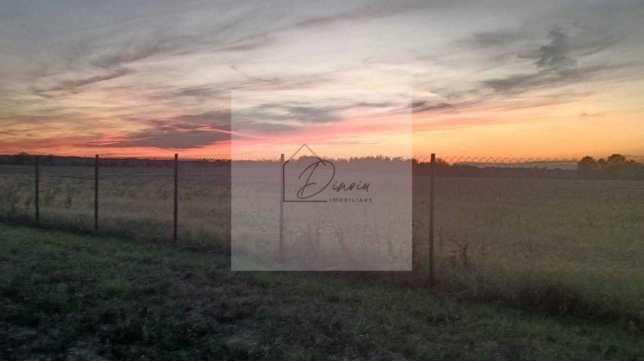 Teren intravilan 2078 mp langa padure - Piscu Ciolpani Snagov - Poză 3